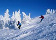 Top Tannersville