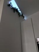 Top Cavallino-Treporti