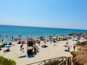 Rainbow House Pinus Village