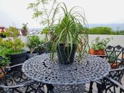 Top Tuxtla Gutiérrez