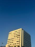 Top Salvador