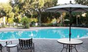 Top Kissimmee
