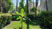 Top Punta Cana