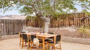 Top Twentynine Palms
