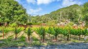 Top Glen Ellen