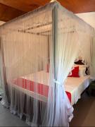 The Bamboo Canopy