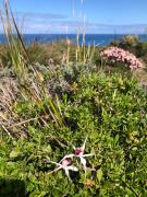 Naturaliste On Caves -wellness retreat