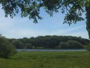 2 Bed in Chew Magna oc-chela