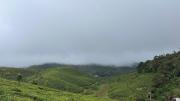 Top Vagamon