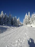 Horská Chata Martin