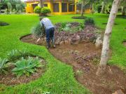 Top Livingstone