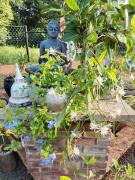 Sanda Ruwan Giri Vishwa Shanthi