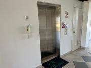 Top Nueva Gorgona
