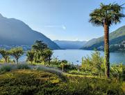 A window on the lake