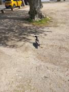 Top La Ferté-Bernard