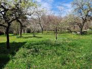 Top Saint-Amans-des-Cots