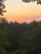Top Franklin
