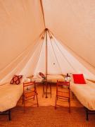 Top Valle