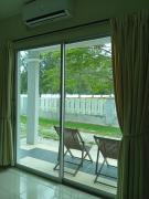 Top Lumut