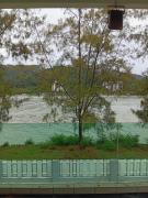 Top Lumut