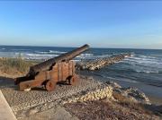 Top Torrox