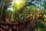 Top Amphoe Sawang Daen Din