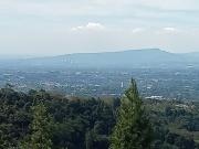 Top Cihideung