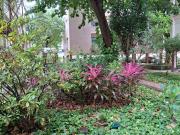 4 quartos amplo Carnaval Ondina 2026