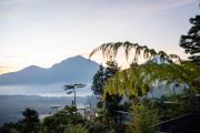 Top Kintamani