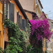 Cappellari Luxury Suite - 1 min from Campo de Fiori