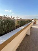 Top San Miguel de Allende