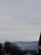 The Cozy Cow Cottage