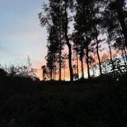 Top Kotagiri