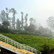 Top Kotagiri