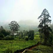 Top Kotagiri