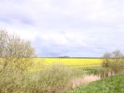 Top Norderfriedrichskoog