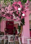 Top Jaipur