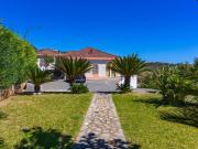 Top Montauro Top Montauro