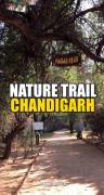 Top Chandīgarh