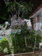 Top Sitio Grande Top Sitio Grande