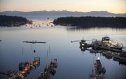 Top Nanaimo