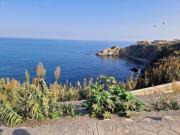 Appartement T3 Alger