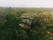 Top Ubud