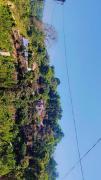 Top Madikeri