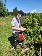 Top Bystrzyca Kłodzka