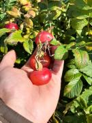 Top Bystrzyca Kłodzka