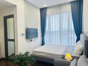 Masteri Studio - Vinhome Ocean Gia Lam near VinUni