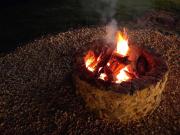 Oikos Orchard and Farm