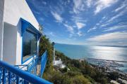 Top Sidi Bou Said