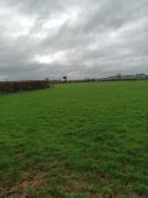 Hook Lighthouse Cottage